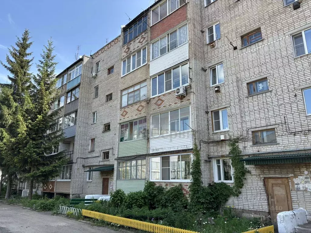 1-к кв. Тульская область, Липки Киреевский район, ул. Лермонтова (26.4 ... - Фото 0