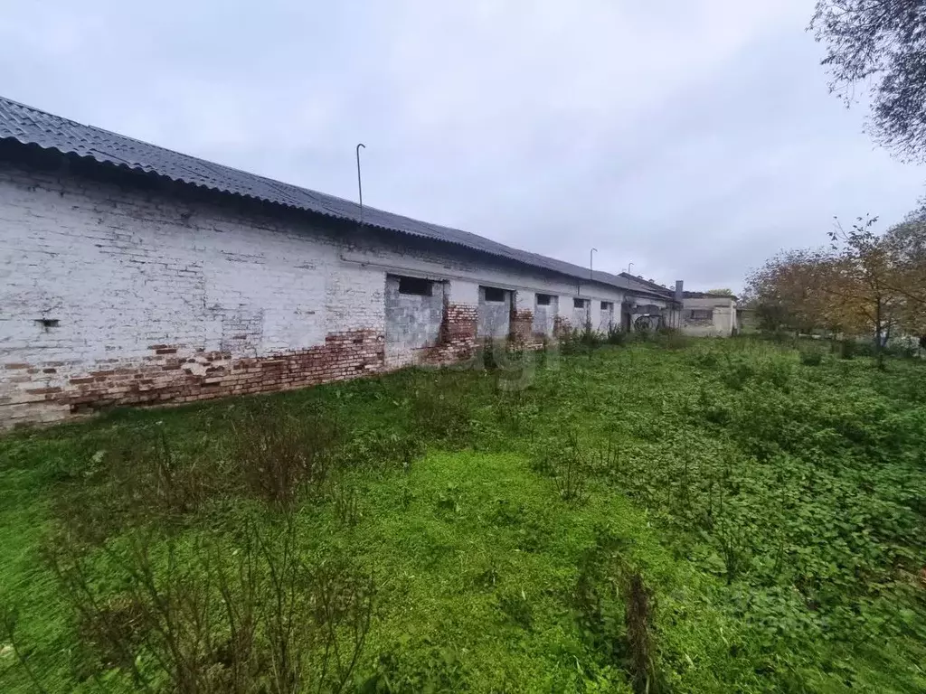 Склад в Ставропольский край, Предгорный муниципальный округ, пос. ... - Фото 1