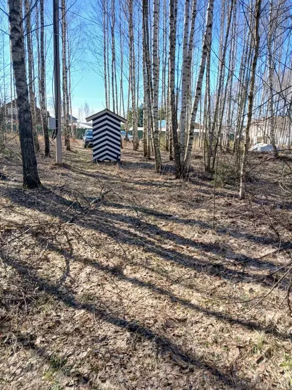 Участок в Нижегородская область, Чкаловск городской округ, д. Черницы  ... - Фото 1