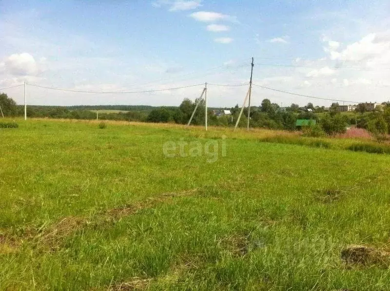 Участок в Вологодская область, д. Стризнево (Старосельский сельсовет) ... - Фото 2