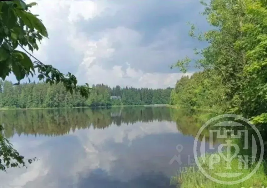 Дом в Ленинградская область, Выборгский район, Рощино пгт ул. ... - Фото 1