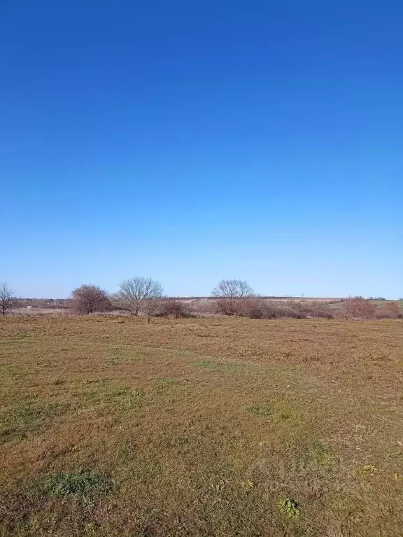 Участок в Краснодарский край, Новороссийск городской округ, Раевская ... - Фото 1