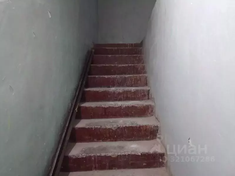 Помещение свободного назначения в Нижегородская область, Нижний ... - Фото 1