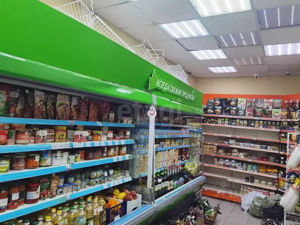 Помещение свободного назначения в Новосибирская область, Новосибирск ... - Фото 1