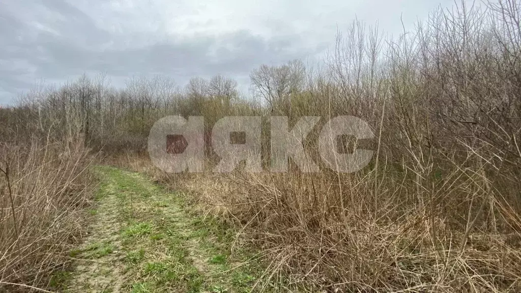 Участок в Краснодарский край, Горячий Ключ муниципальный округ, ... - Фото 1