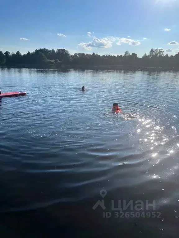 Дом в Смоленская область, Руднянский муниципальный округ, д. Заборье ... - Фото 2