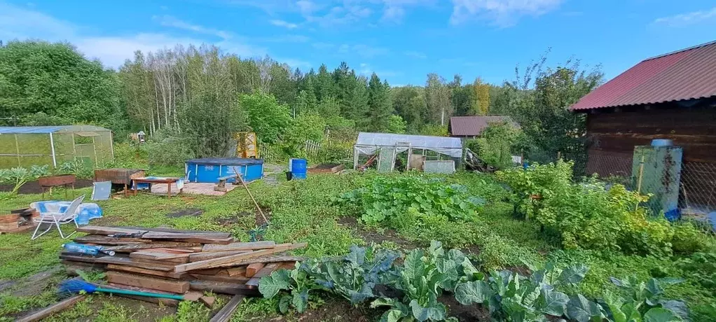 Участок в Новосибирская область, Новосибирский район, Барышевский ... - Фото 0