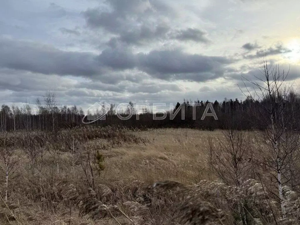 Участок в Тюменская область, Тюмень  (109.0 сот.) - Фото 1