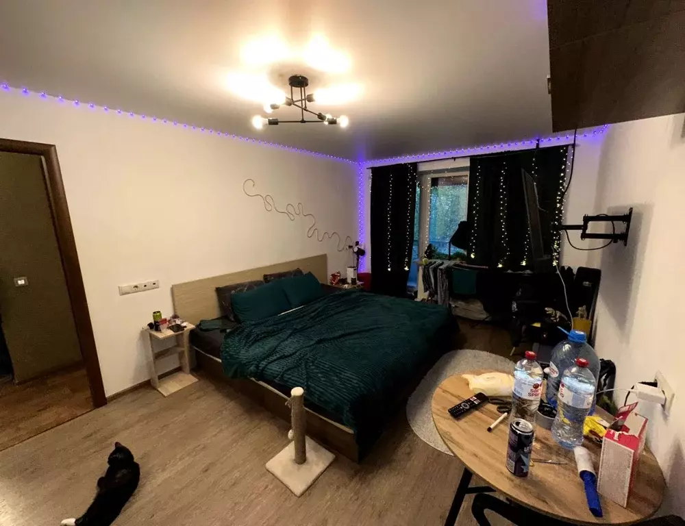 1-к кв. Томская область, Томск просп. Фрунзе, 65 (31.0 м) - Фото 1