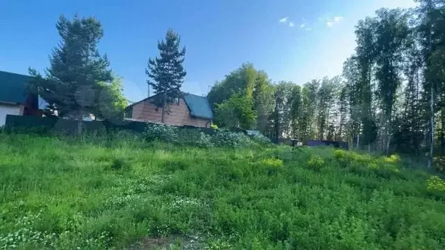 Участок 6,4 сот. (СНТ, ДНП) - Фото 1