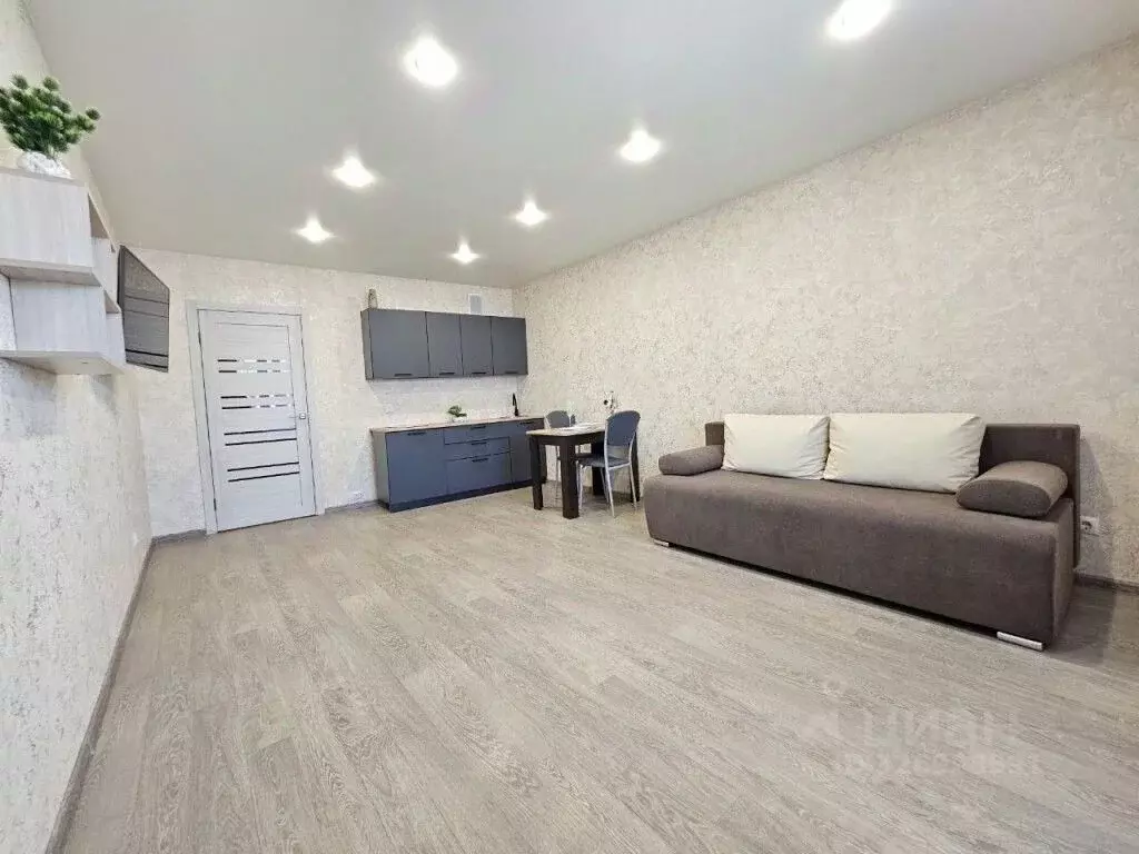 Студия Амурская область, Благовещенский район, с. Чигири Восточная ... - Фото 2