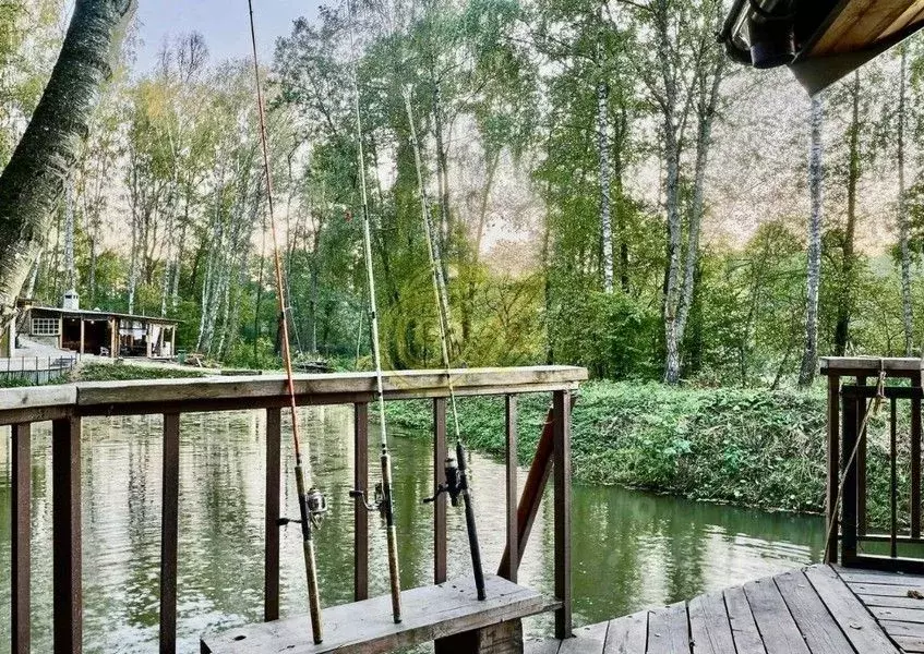 Дом в Московская область, Раменский муниципальный округ, Стриж СНТ 284 ... - Фото 2