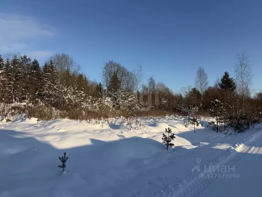 Участок в Ленинградская область, Гатчинский муниципальный округ, ... - Фото 1