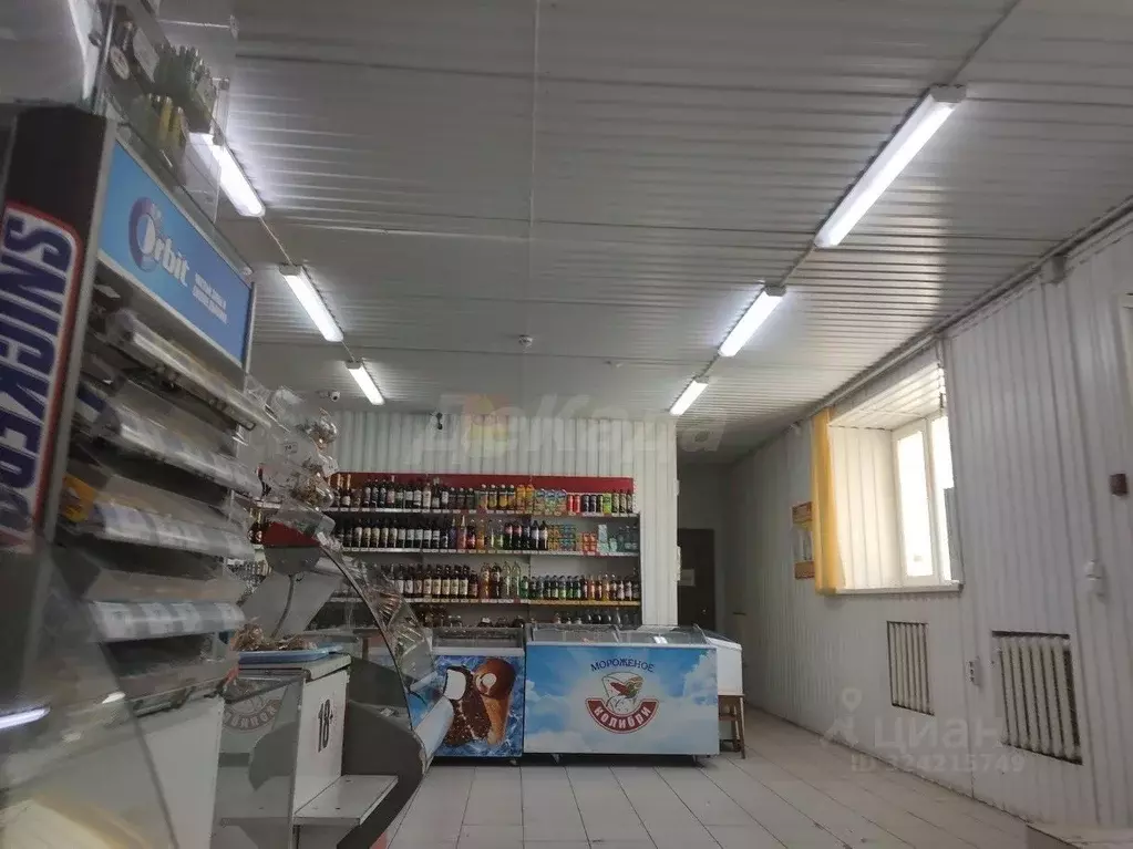 Помещение свободного назначения в Ульяновская область, Ульяновск ул. ... - Фото 2