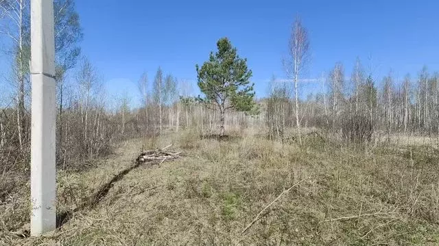 Участок 10 сот. (СНТ, ДНП) - Фото 0