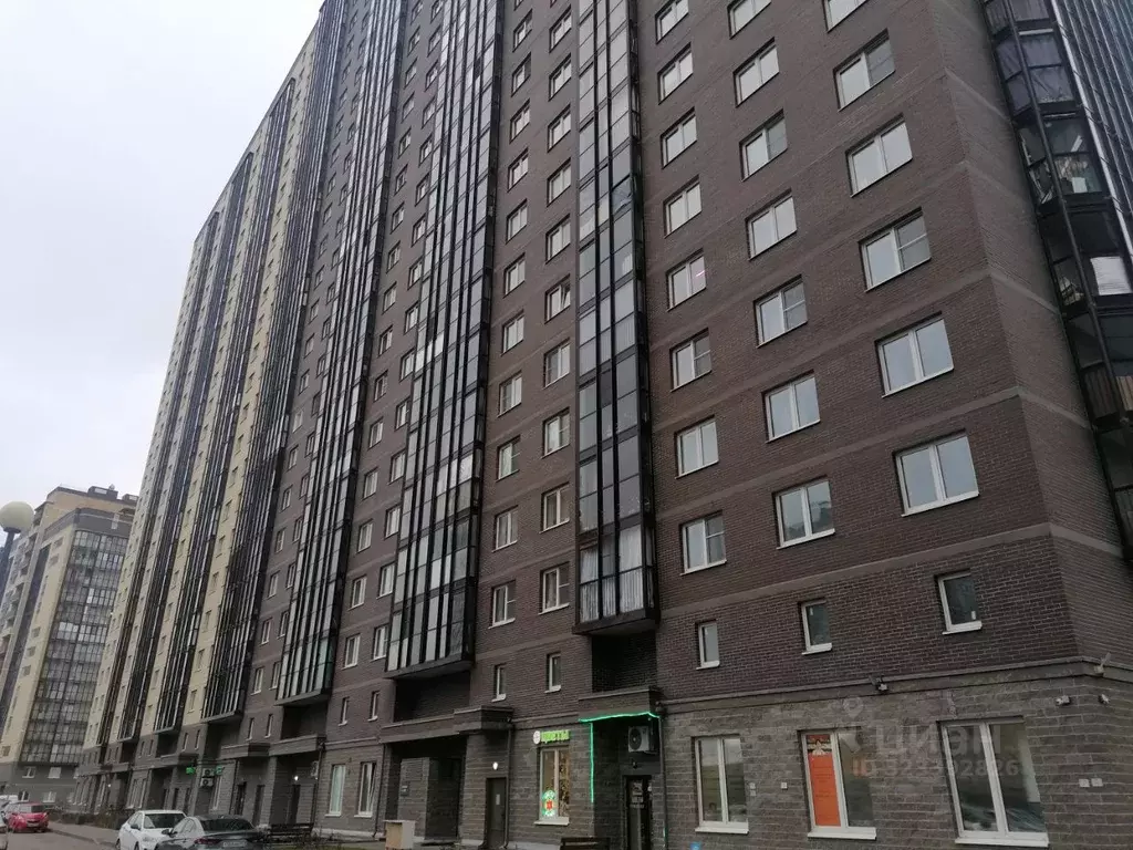 Студия Санкт-Петербург Усть-Славянка тер., ул. Славянская, 21 (28.0 м) - Фото 2