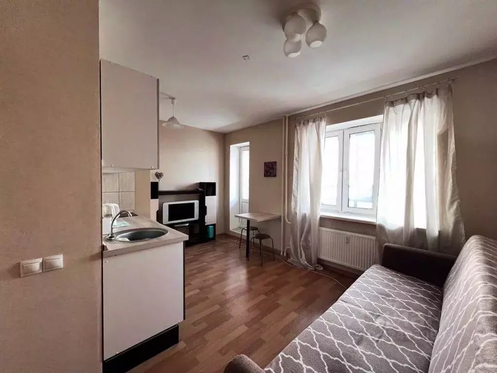 Студия Санкт-Петербург пос. Парголово, проезд Толубеевский, 24 (23.2 ... - Фото 2