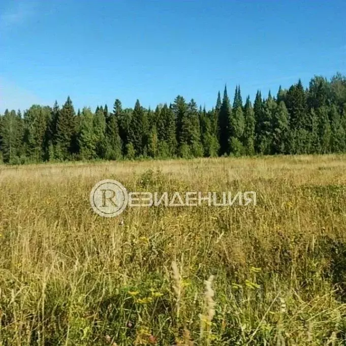 Участок в Пермский край, д. Большакино ул. Добрянская, 8 (24.0 сот.) - Фото 0