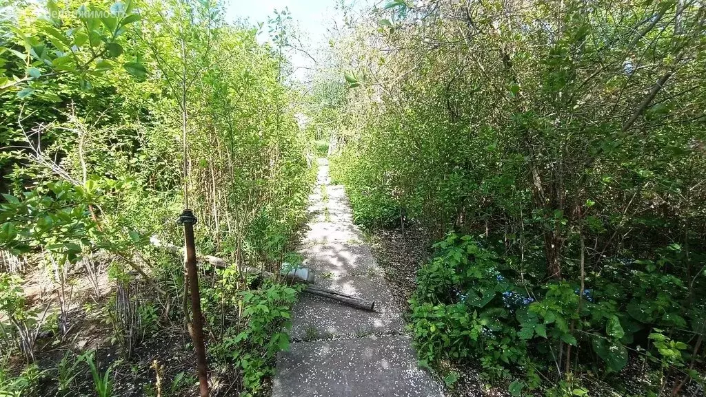 Дом в село Никольское-на-Черемшане, улица Куйбышева, 22 (32.5 м) - Фото 1