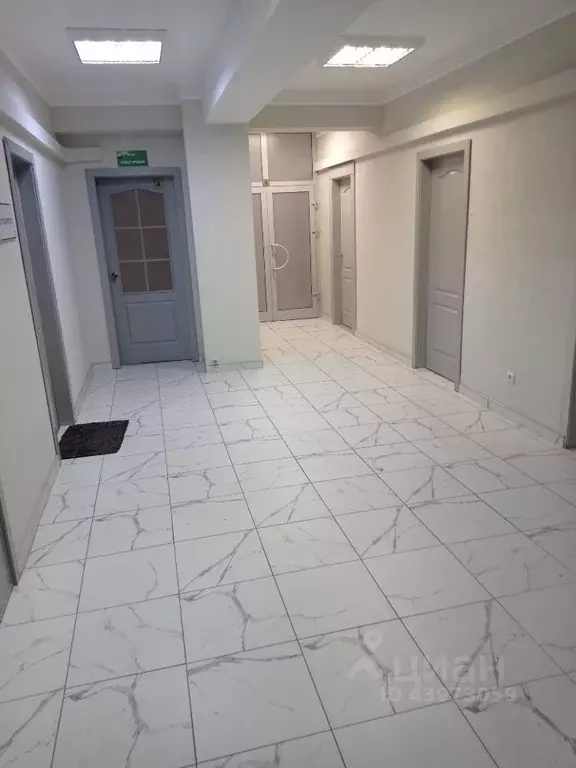 Офис в Иркутская область, Иркутск ул. Рабочего Штаба, 1/5 (15 м) - Фото 0