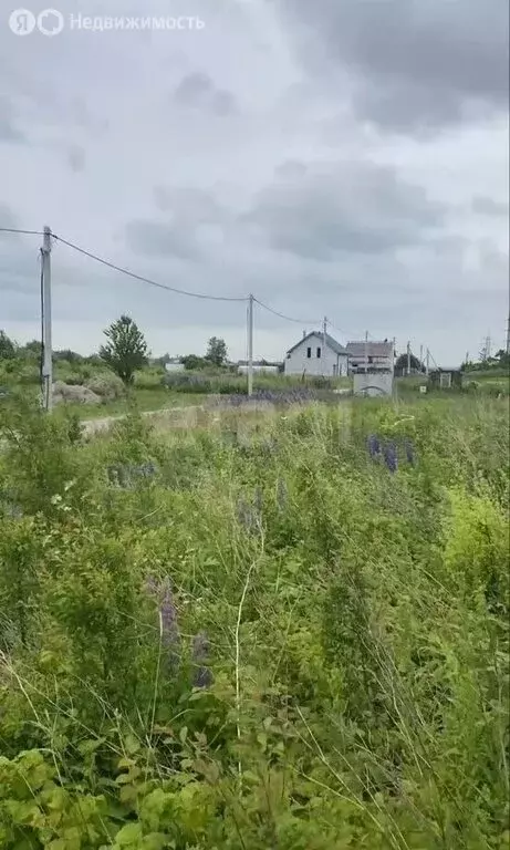 Участок в Зеленоградск, Мраморная улица (7.3 м) - Фото 1