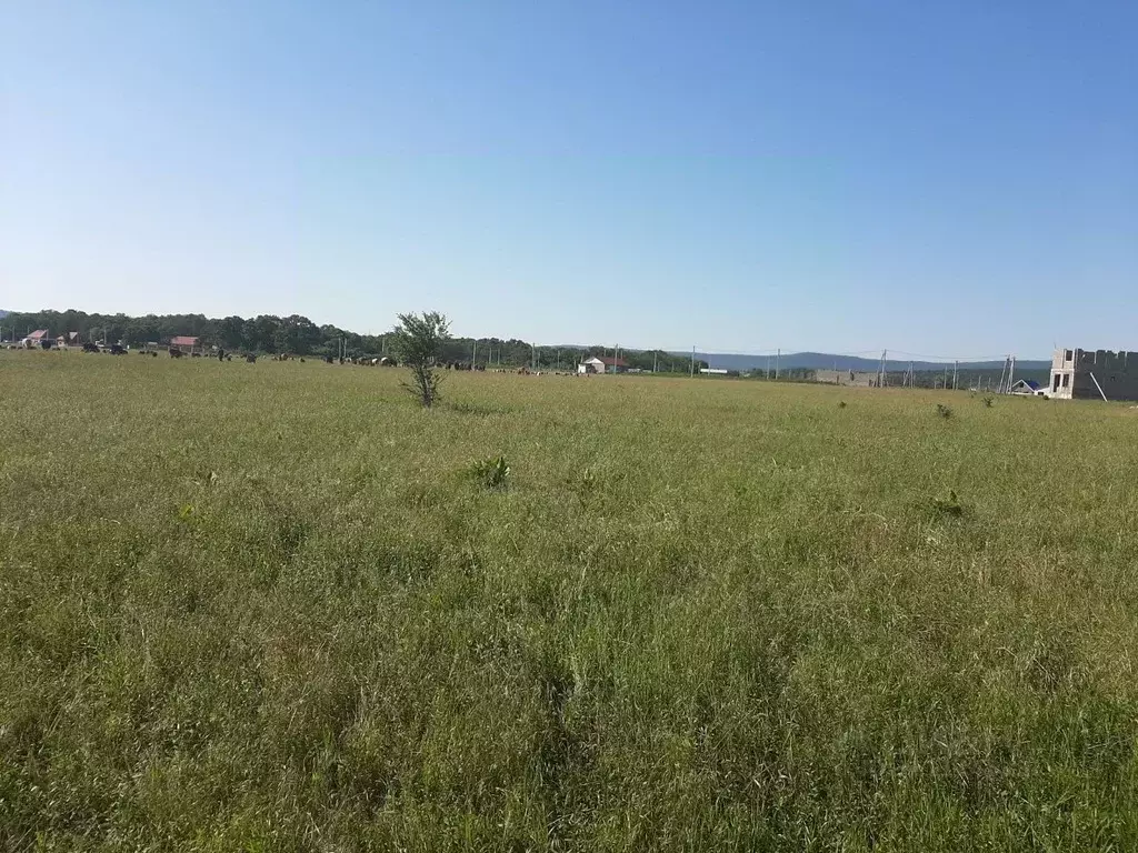 Участок в Краснодарский край, Новороссийск городской округ, ... - Фото 0