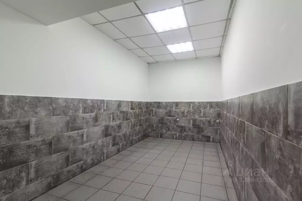 Офис в Санкт-Петербург ул. Марата, 77 (11 м) - Фото 1