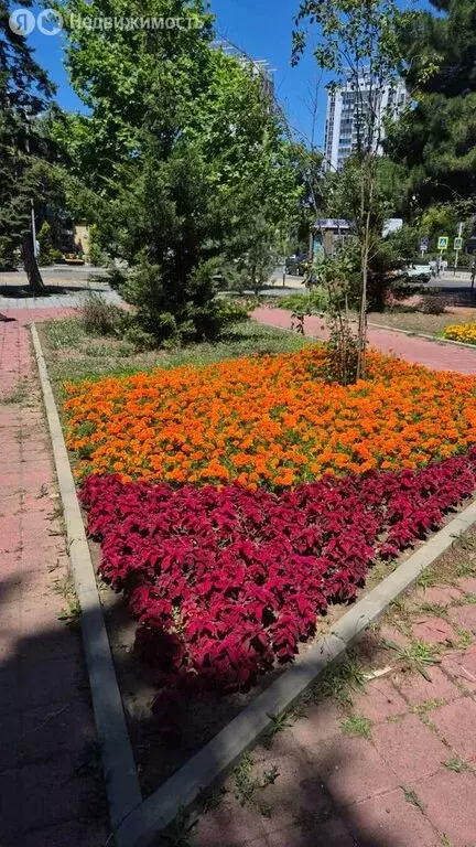 1-комнатная квартира: Анапа, Терская улица, 39 (29 м) - Фото 0