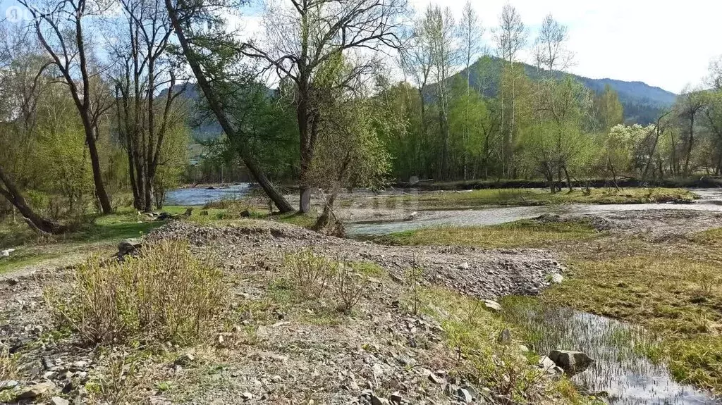 Участок в Онгудайский район, село Онгудай (57 м) - Фото 1