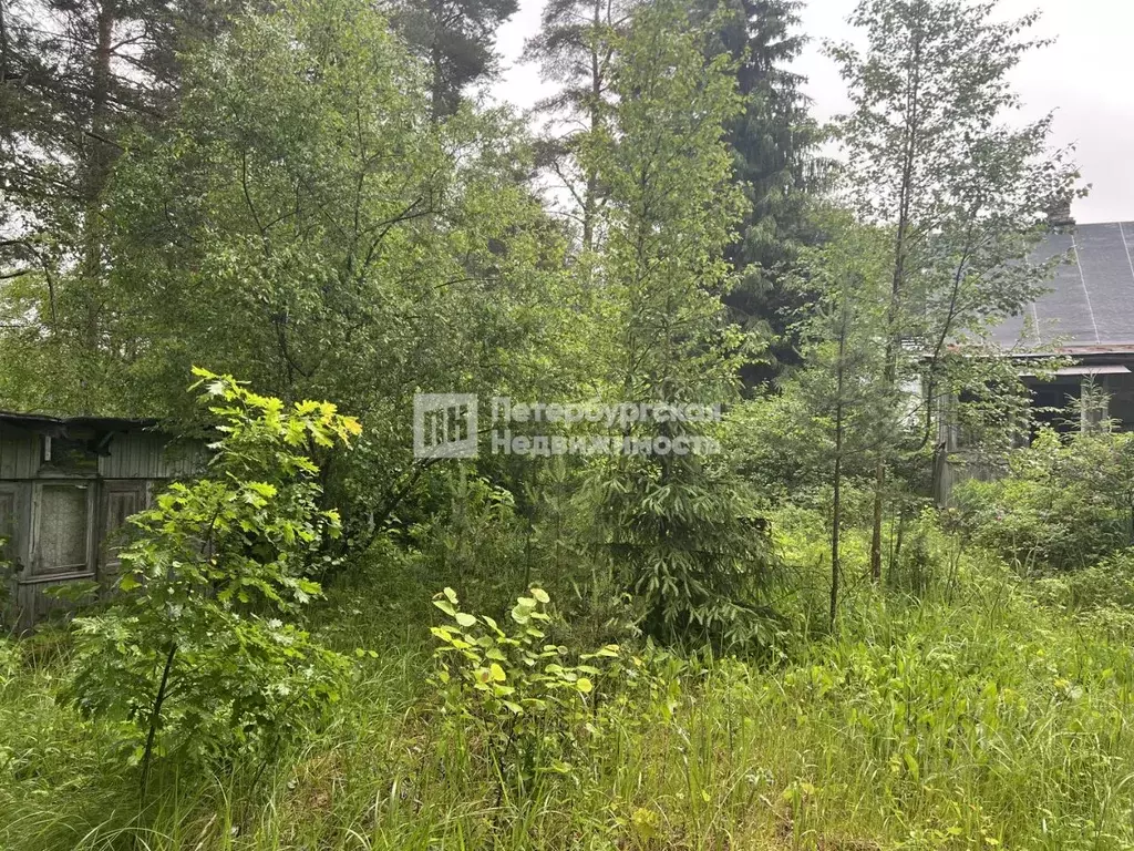 Дом в Ленинградская область, Приозерский район, Сосновское с/пос, ... - Фото 1