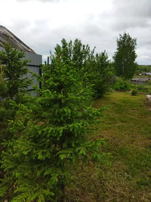 Дом в Пермский край, Кудымкарский район, д. Тарова Дальняя ул., 3 (78 ... - Фото 1