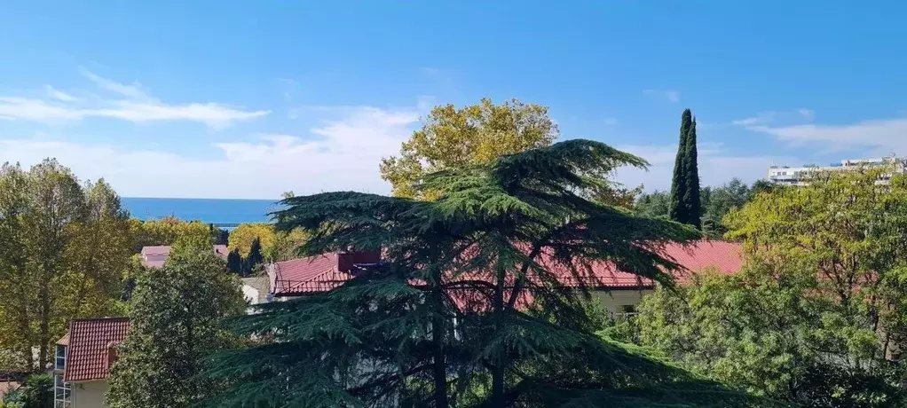 Дом в Краснодарский край, Сочи Центральный мкр, ул. Кубанская, 1А (300 ... - Фото 0