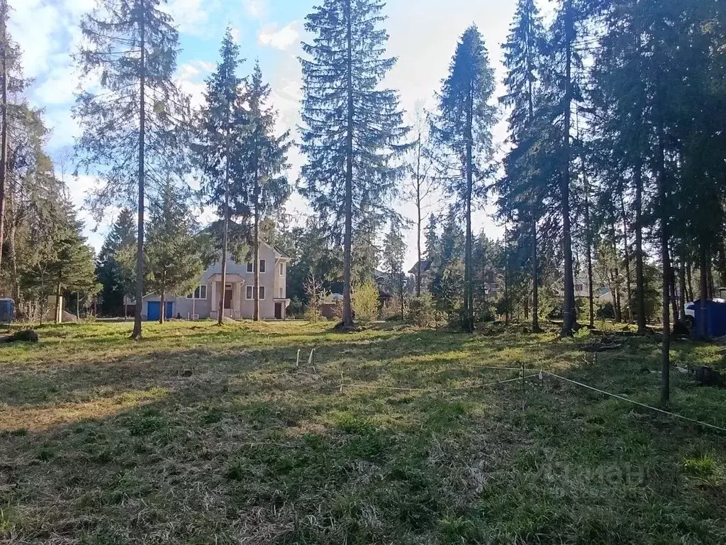 Участок в Московская область, Пушкинский городской округ, д. Могильцы, ... - Фото 1