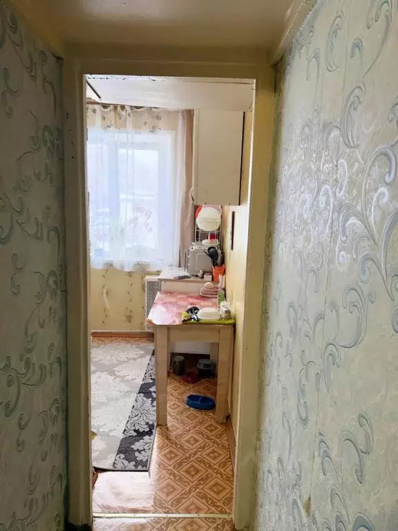 1-к кв. Алтайский край, Барнаул ул. Островского, 64 (29.8 м) - Фото 2