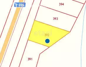 Участок в Шебалинский район, село Топучая (10 м) - Фото 2