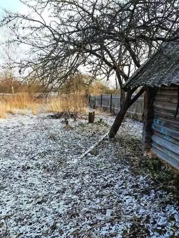 Дом в Новгородская область, Новгородский район, Пролетарское городское ... - Фото 1