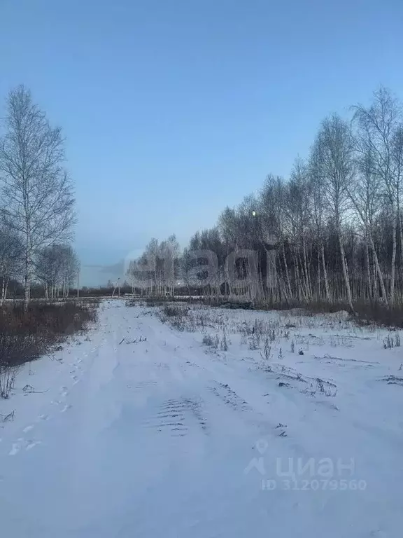 Участок в Тюменская область, Нижнетавдинский район, Тюневское с/пос, 7 ... - Фото 0