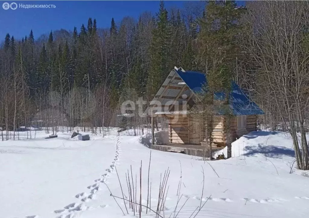 Дом в Артыбаш, Пихтовая улица (13.6 м) - Фото 0