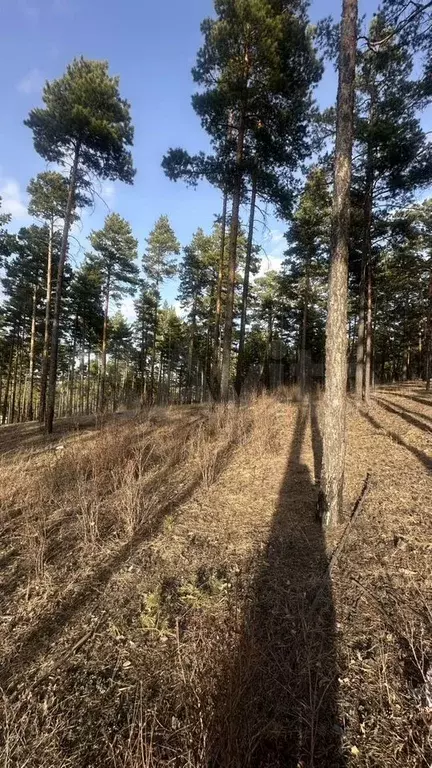 Участок 10 сот. (ИЖС) - Фото 1