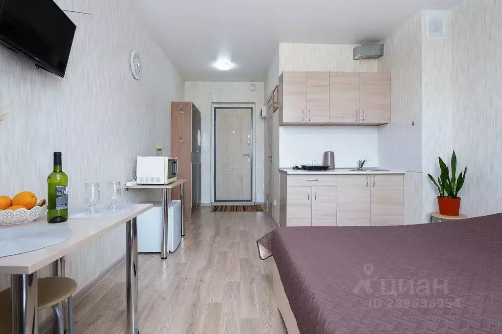 Студия Новосибирская область, Новосибирск ул. Титова, 257 (24.0 м) - Фото 1