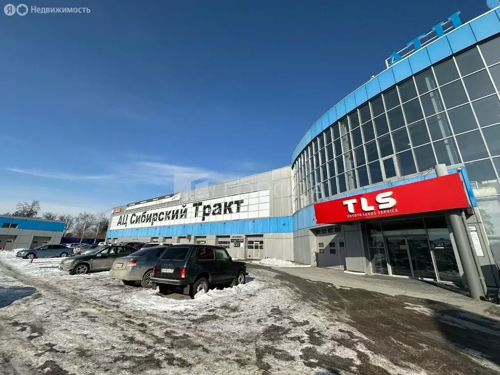 Торговая площадь (1262.1 м) - Фото 1