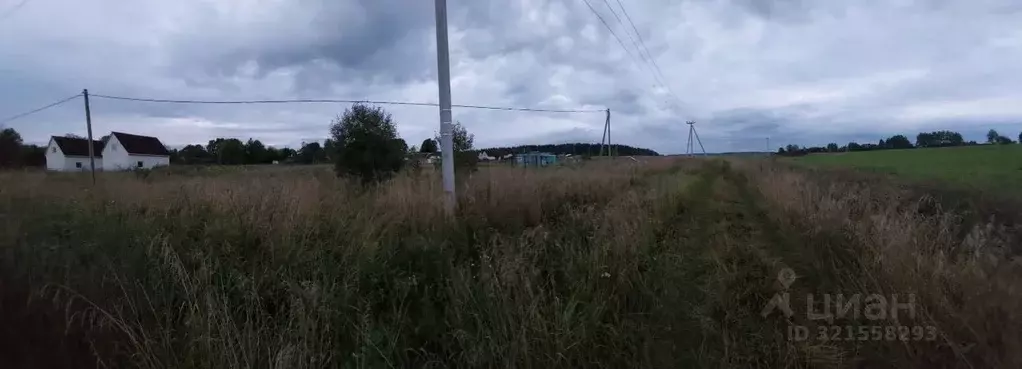 Участок в Ленинградская область, Гатчинский муниципальный округ, д. ... - Фото 1