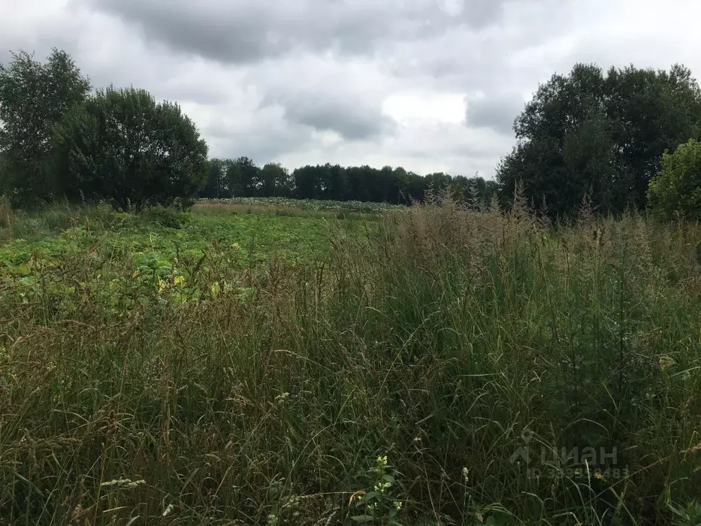 Участок в Московская область, Пушкинский городской округ, д. Цернское  ... - Фото 2