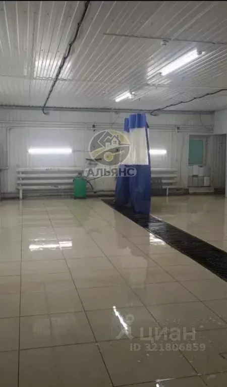 Помещение свободного назначения в Ямало-Ненецкий АО, Новый Уренгой ... - Фото 1