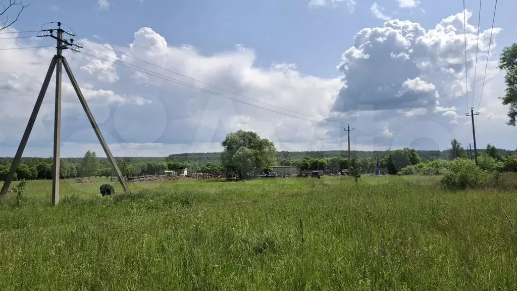 Участок 60 га (СНТ, ДНП) - Фото 1