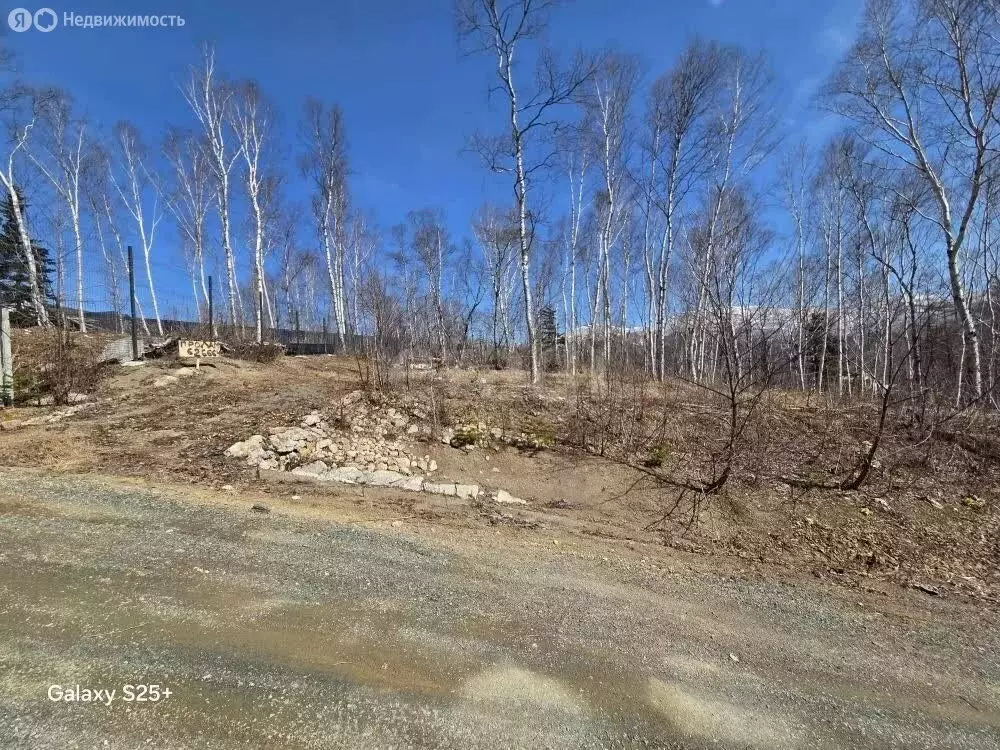 Участок в Южно-Сахалинск, ДНТ Кедр (1195 м) - Фото 1