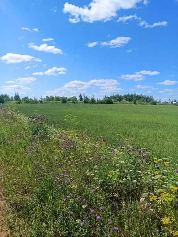 Участок в Кировская область, Слободской район, Ленинское с/пос, д. ... - Фото 2