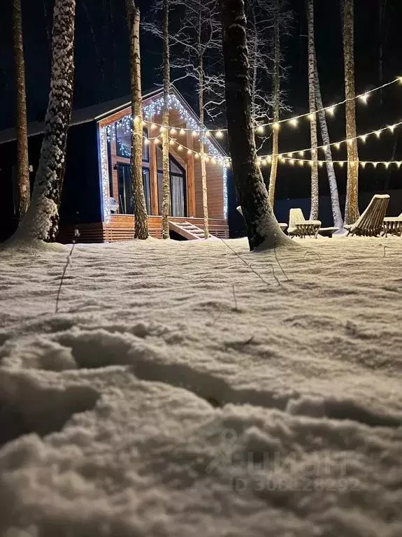 Дом в Московская область, Домодедово городской округ, д. Степыгино, ... - Фото 2