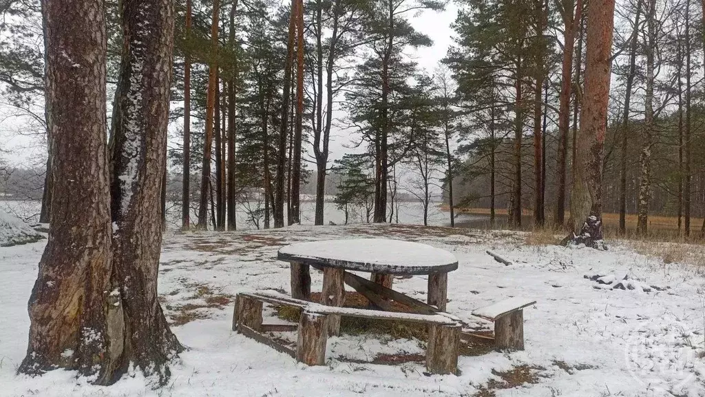 Участок в Ленинградская область, Лужский район, Скребловское с/пос, д. ... - Фото 2