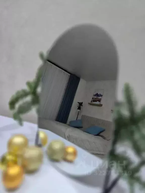 2-к кв. Псковская область, Псков Овсище исторический район, проезд ... - Фото 2